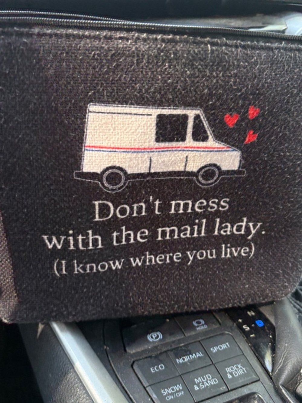 Don't Mess With The Mail Lady Cosmetic Bag - Black with White Text/ USPS